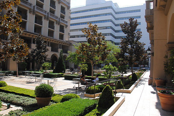 DSC 0246
