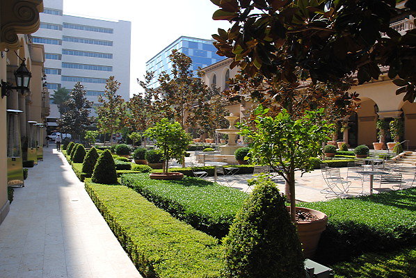 DSC 0210