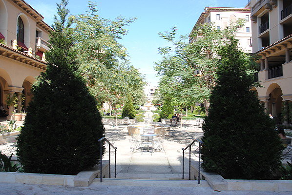 DSC 0240