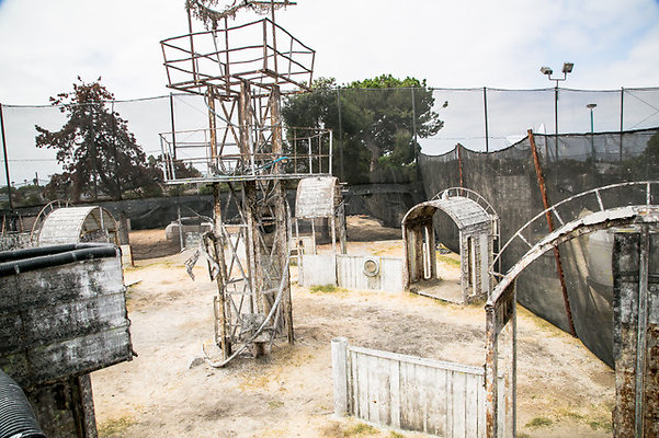 paintball-064