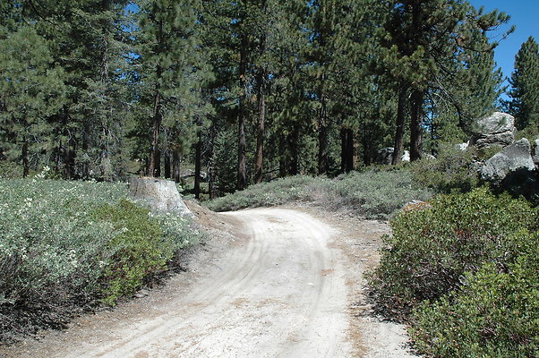 Boulder Group Campground Road