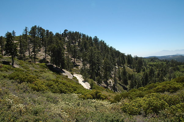 DSC 0496