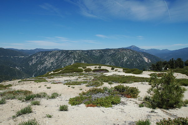 DSC 0438
