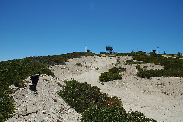 DSC 0447