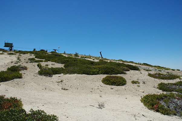 DSC 0448