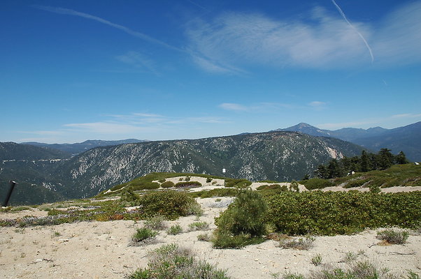 DSC 0450