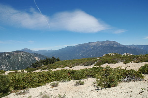 DSC 0451
