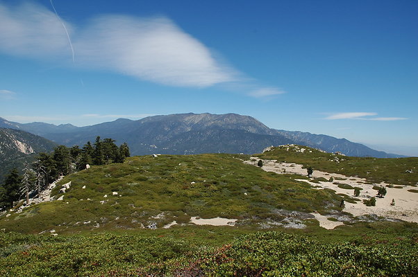 DSC 0444