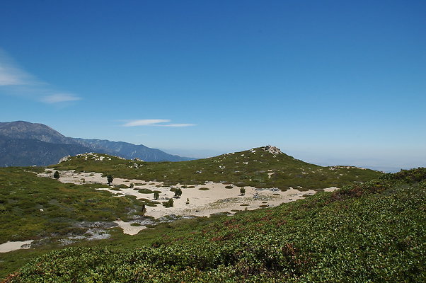 DSC 0445