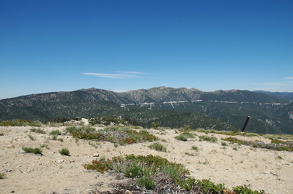 DSC 0453