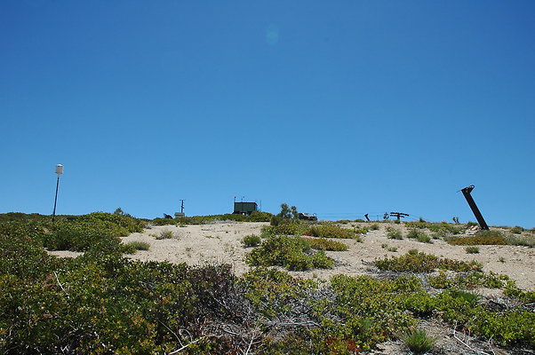 DSC 0439