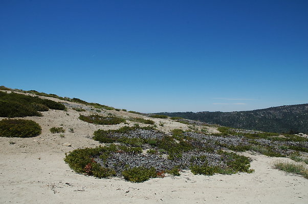 DSC 0449