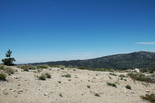 DSC 0454