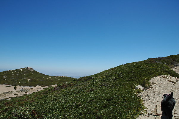 DSC 0446