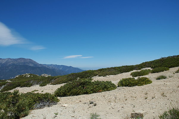 DSC 0452