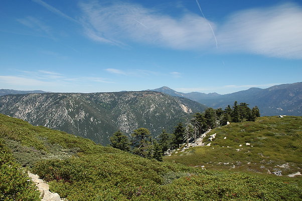 DSC 0443