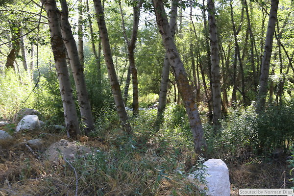 IMG 7274