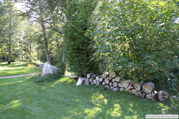 IMG 7247
