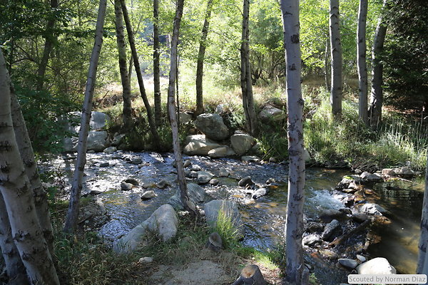 IMG 7278
