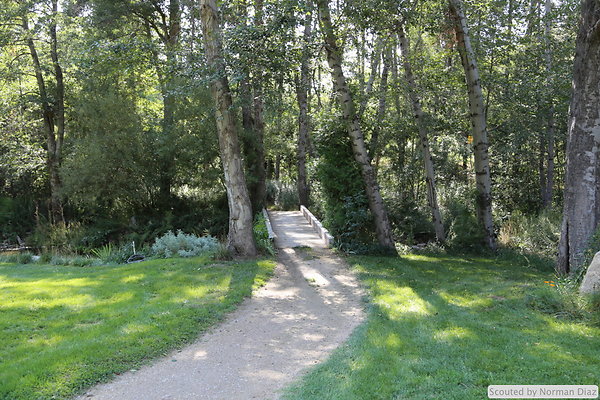 IMG 7233