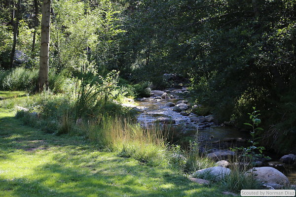 IMG 7259