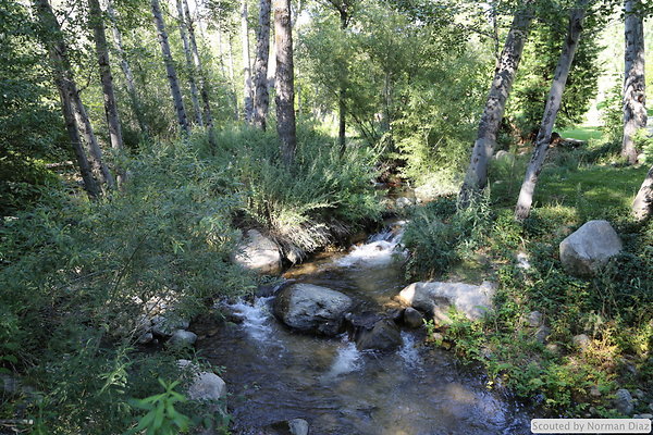 IMG 7256
