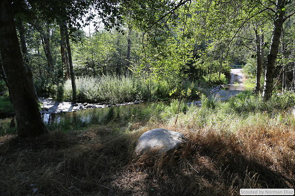 IMG 7284