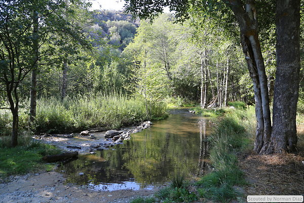 IMG 7271