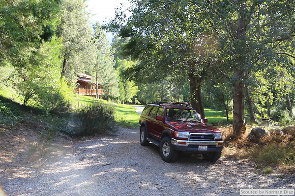 IMG 7283