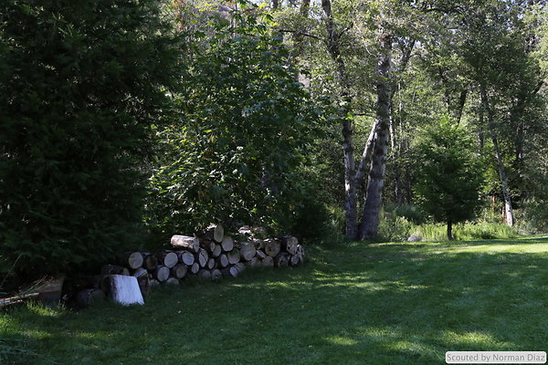 IMG 7235