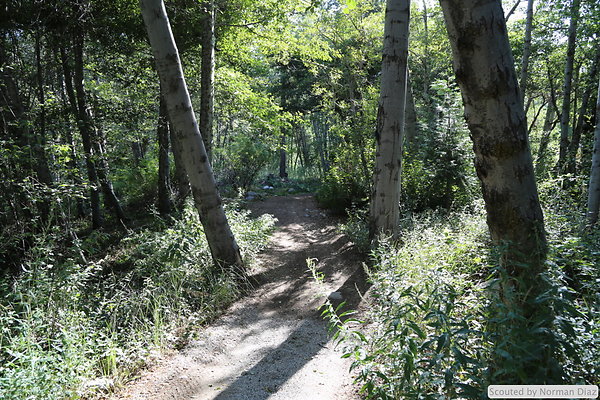 IMG 7251