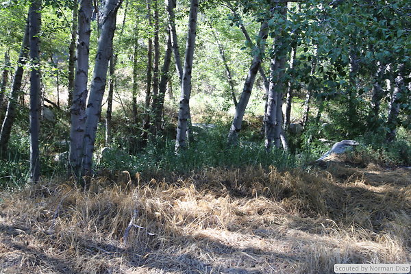 IMG 7276