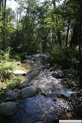 IMG 7265