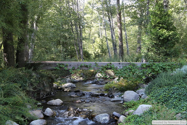 IMG 7261