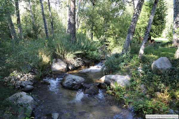 IMG 7257