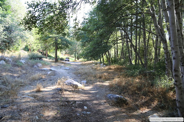 IMG 7282
