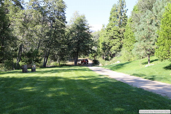 IMG 7236