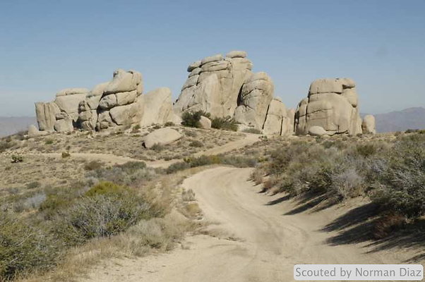 DSC 1771