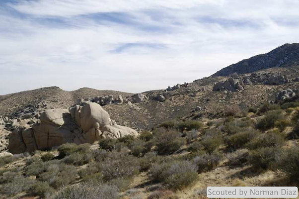 DSC 1775