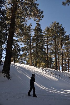 Mtn.Hi.Top.No.Ski.Area.19