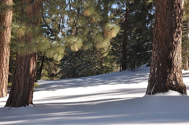 Mtn.Hi.Top.No.Ski.Area.43