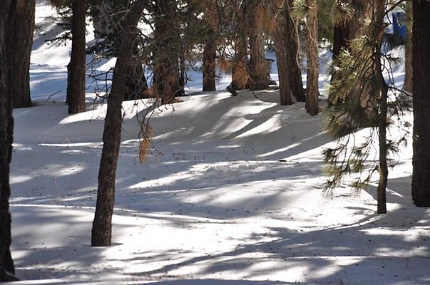 Mtn.Hi.Top.No.Ski.Area.61