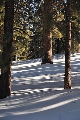 Mtn.Hi.Top.No.Ski.Area.65