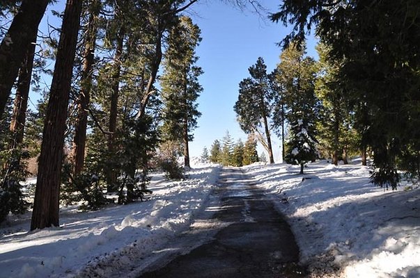 1k.Pines.Rd.To.P-Lot.02