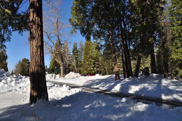 1k.Pines.Rd.To.P-Lot.10