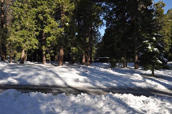 1k.Pines.Rd.To.P-Lot.16