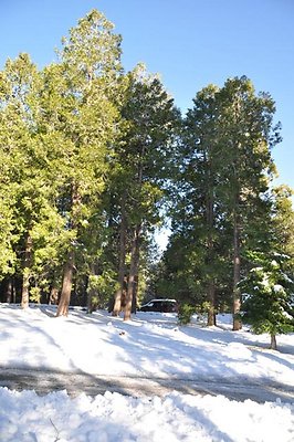 1k.Pines.Rd.To.P-Lot.17