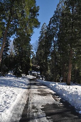 1k.Pines.Rd.To.P-Lot.05