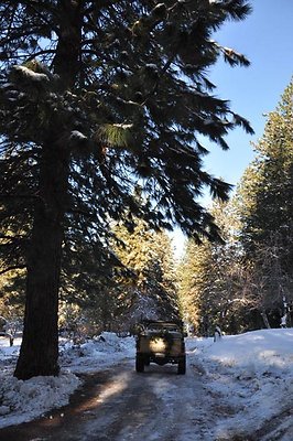 1k.Pines.Ponderosa.Rd.12