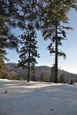 1k.Pines.Ponderosa.Rd.52